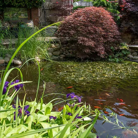 No.3 ベッド・アンド・ブレックファスト